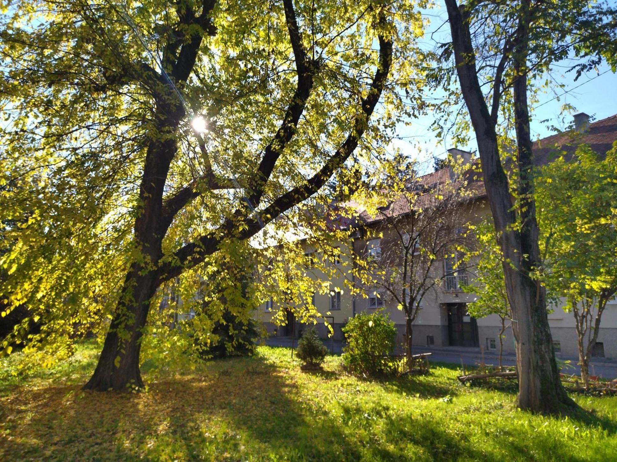 Apartment Angel Zagreb 1 Dış mekan fotoğraf